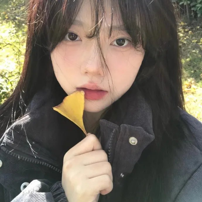 剧照1